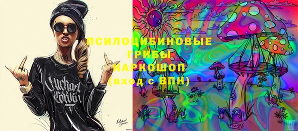 ПСИЛОЦИБИНОВЫЕ ГРИБЫ Арсеньев