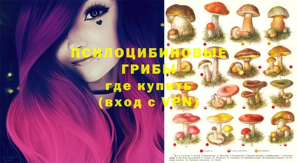 ПСИЛОЦИБИНОВЫЕ ГРИБЫ Арсеньев