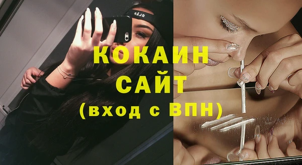 ПСИЛОЦИБИНОВЫЕ ГРИБЫ Арсеньев