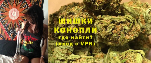 apvp Аркадак