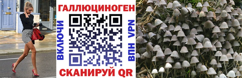 Галлюциногенные грибы Magic Shrooms  Аркадак 